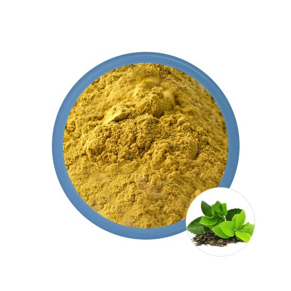 Estratto di tè verde in polvere
