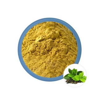 Polvere sfusa di estratto di tè verde