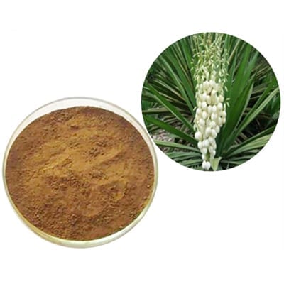 Polvere di radice di yucca